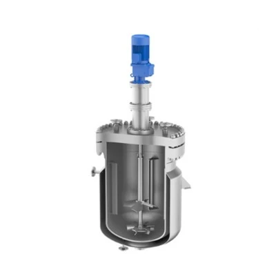 Polymerization Reactor